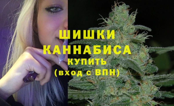 мдпв Одинцово