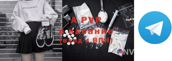 дурь Бородино