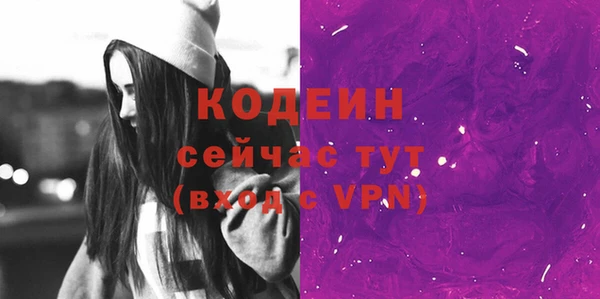 дурь Бородино