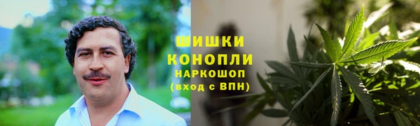 дурь Бородино