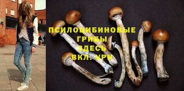 марки lsd Бугульма