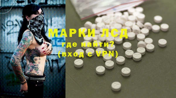 дурь Бородино
