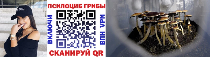 Галлюциногенные грибы Psilocybe  Дюртюли 