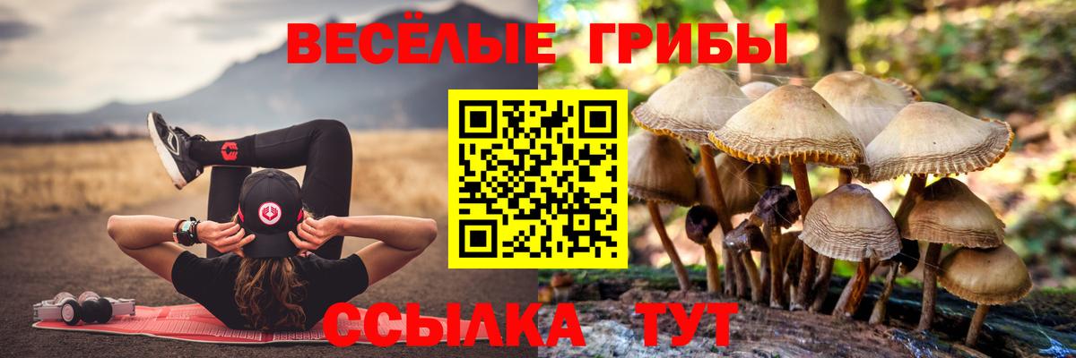 Галлюциногенные грибы Cubensis  Псилоцибиновые грибы мухоморы  Вход с VPN  Дюртюли 